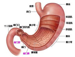 王振国：哪些胃部疾病容易发生癌变？|医院学术交流